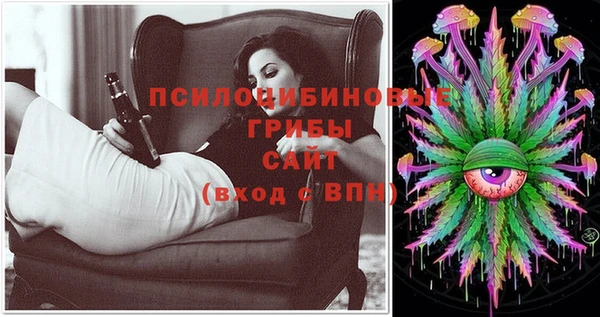 крисы Алексин