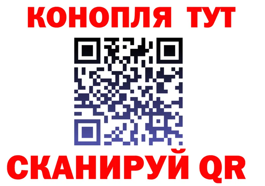 АМФ Premium вход маркетплейс OMG Щигры