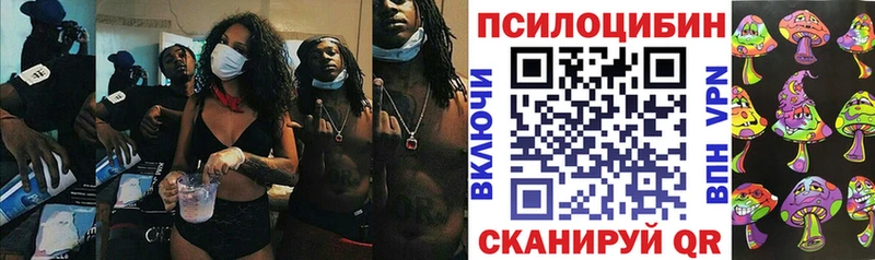 кракен как войти  Щигры  Псилоцибиновые грибы MAGIC MUSHROOMS 